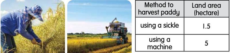 A farmer harvesting paddy with a sickle, a machine harvester and a table: sickle 1.5 hectares, machine 5 hectares