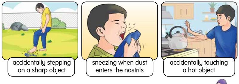 Reflex actions: stepping on a sharp object, sneezing when dust enters the nose, touching a hot object