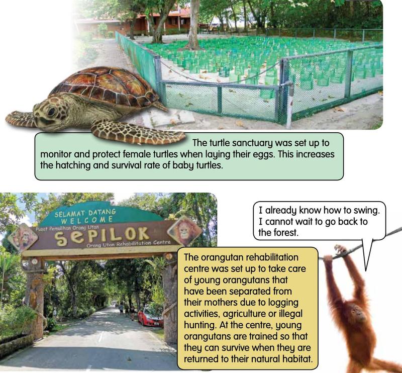 A turtle sanctuary with hatchery enclosures and the entrance of an orangutan rehabilitation centre