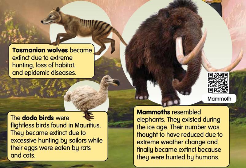 Three extinct animals: a Tasmanian wolf, a dodo bird and a mammoth