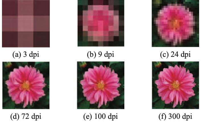 Enam gambar bunga yang sama pada 3, 9, 24, 72, 100 dan 300 dpi; gambar 3 dpi berpetak besar