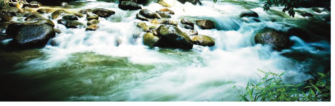Air sungai yang jernih mengalir deras di celah batu-batu besar di dalam hutan