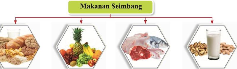Empat kumpulan makanan: roti dan bijirin, buah-buahan, ikan dan daging, susu dan kekacang