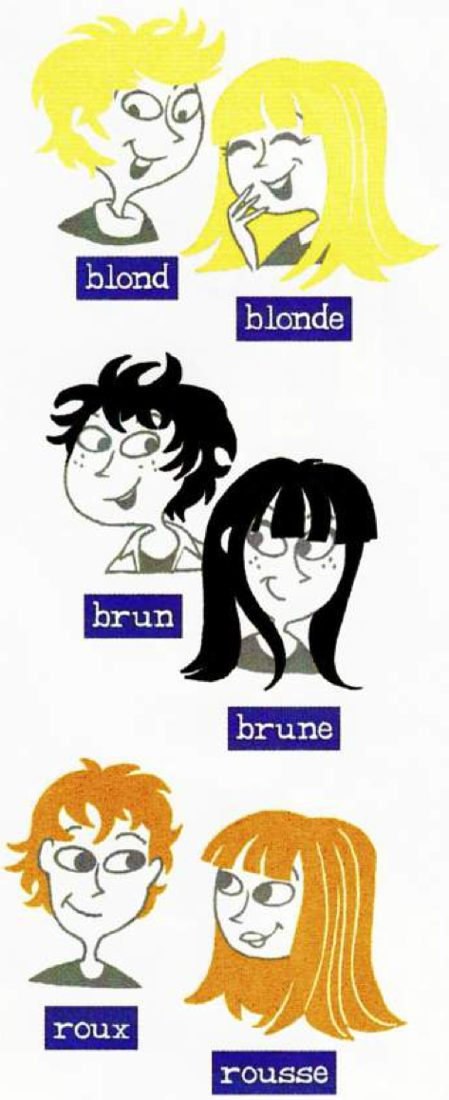 Cartoon faces labelled blond, blonde, brun, brune, roux, rousse