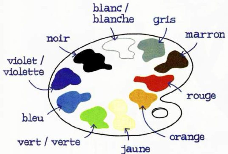 A paint palette with colours labelled noir, blanc/blanche, gris, marron, rouge, orange, jaune, vert/verte, bleu, violet/violette