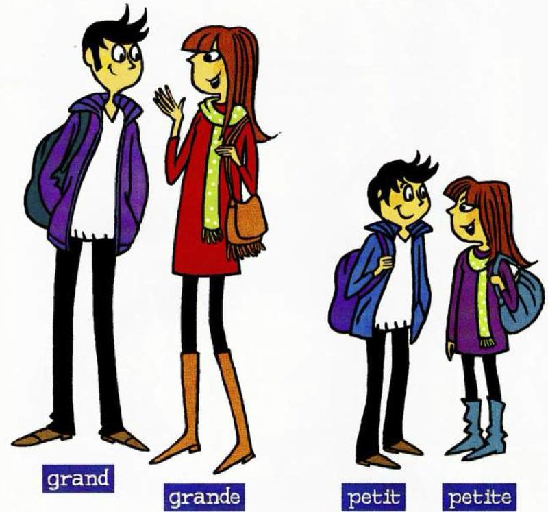Cartoon: a tall boy and a tall girl, then a short boy and a short girl, labelled grand, grande, petit, petite
