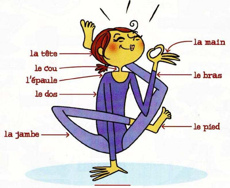 A cartoon girl in a purple leotard with labels: la tête, le cou, l'épaule, le dos, la jambe, la main, le bras, le pied