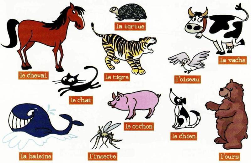 Cartoon animals labelled in French: horse, tortoise, tiger, cow, bird, cat, pig, dog, whale, insect, bear