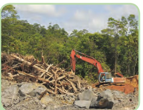 Jentera menebang hutan, tanah terdedah