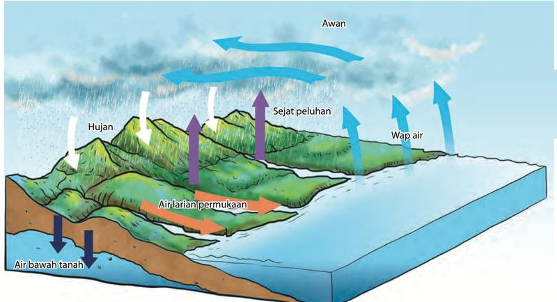 Rajah kitaran air: hujan turun ke gunung, air larian permukaan mengalir ke laut, air meresap menjadi air bawah tanah, sejat peluhan dan wap air naik membentuk awan