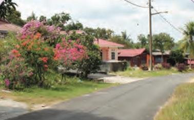 Deretan rumah kampung di tepi jalan berturap dengan pokok bunga dan tiang elektrik