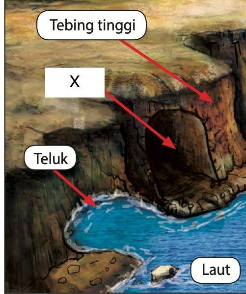 Lukisan pinggir laut dengan tebing tinggi, sebuah lekukan besar pada tebing yang dilabel X, teluk dan laut