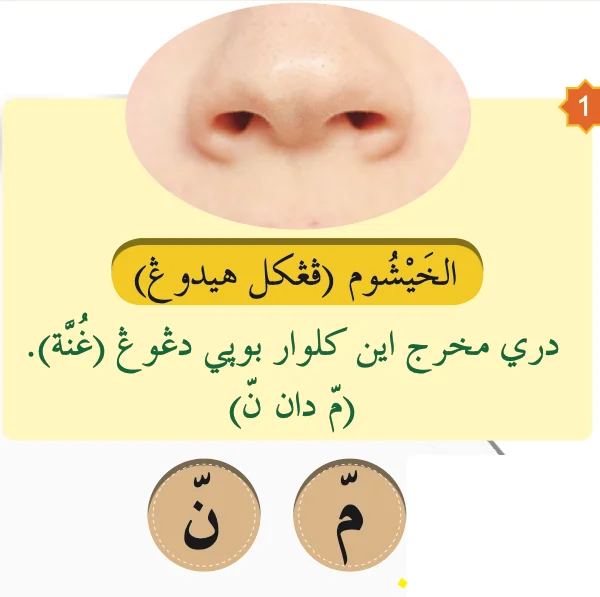 Pangkal hidung, tempat keluar bunyi dengung bagi mim dan nun bersabdu