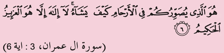 Surah Ali 'Imran, ayat 6