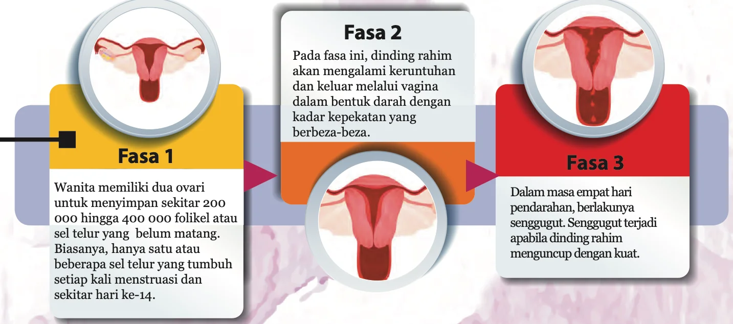 Tiga fasa senggugut dengan lukisan rahim