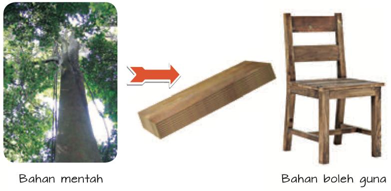 Pokok, kayu papan dan kerusi kayu