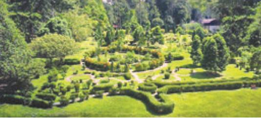 Taman berhias dengan pokok renek