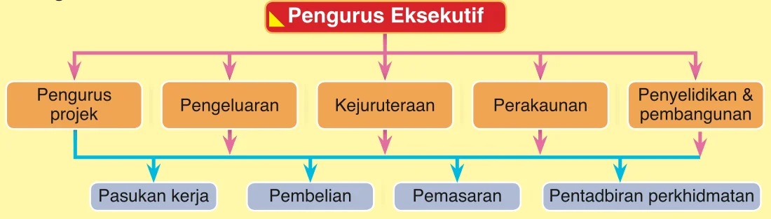 Carta organisasi: Pengurus Eksekutif di atas, lima bahagian di bawahnya dan empat pasukan di baris bawah