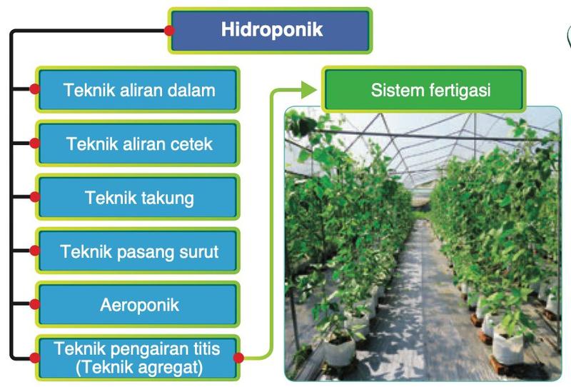 Carta enam teknik hidroponik; teknik pengairan titis menjadi sistem fertigasi