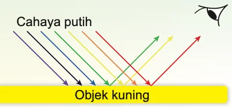 Cahaya putih mengenai objek kuning, cahaya kuning, merah dan hijau dipantulkan