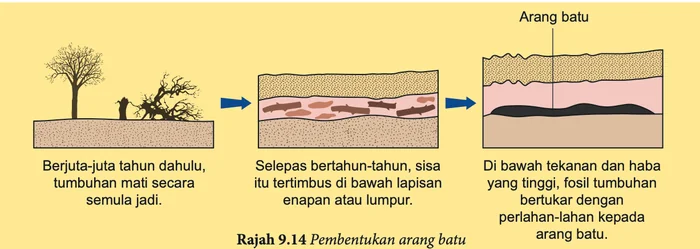 Pembentukan arang batu dalam tiga peringkat
