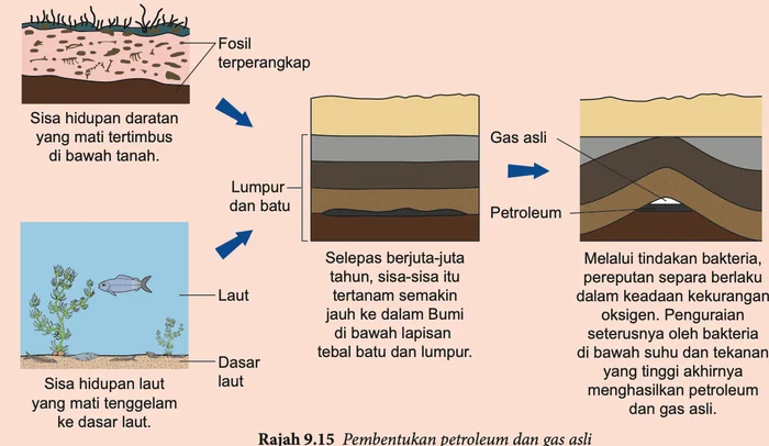 Pembentukan petroleum dan gas asli