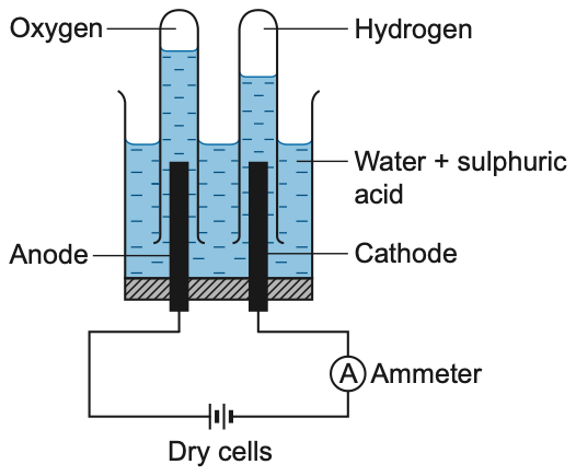 Electrolysis of water producing oxygen at the anode and hydrogen at the cathode