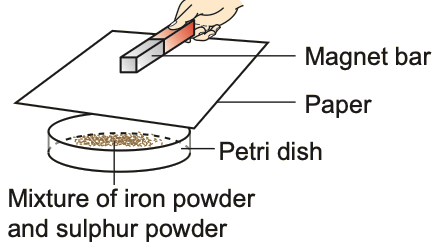 Magnet bar held over paper covering a Petri dish of iron and sulphur powder