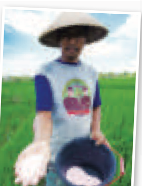 Farmer holding fertiliser in a field
