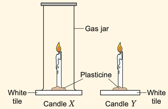 Candle X covered by a gas jar and candle Y uncovered, both on white tiles