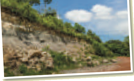 A slope where soil has slid down