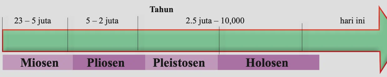Garis masa: Miosen 23 hingga 5 juta, Pliosen 5 hingga 2 juta, Pleistosen 2.5 juta hingga 10,000, Holosen hingga hari ini