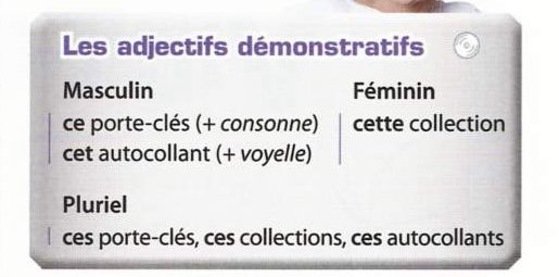 Grammar box: ce porte-clés before a consonant, cet autocollant before a vowel, cette collection feminine, ces for all plurals