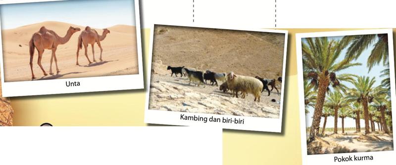 Unta, kambing dan biri-biri, dan pokok kurma
