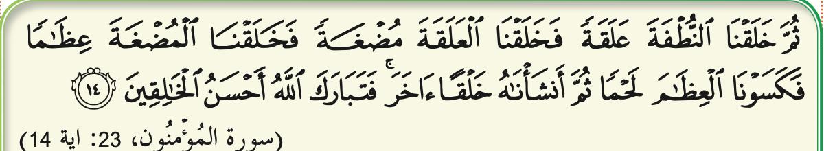 Surah al-Mu'minun, 23: ayat 14