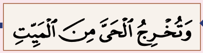 Potongan ayat 27 surah Ali Imran