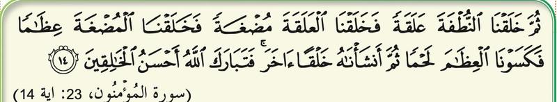 Surah al-Mu'minun, ayat 14