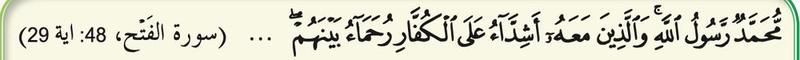 Surah al-Fath, ayat 29, kasih sayang sesama orang Islam