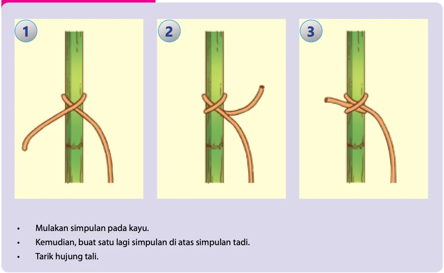 Tiga langkah ikatan simpul manuk pada sebatang kayu