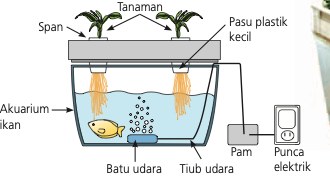 Akuarium ikan dengan span di atas, dua tanaman dalam pasu kecil, batu udara, tiub udara, pam dan punca elektrik