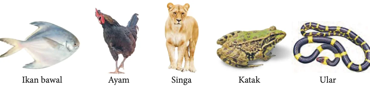 Ikan bawal, ayam, singa, katak dan ular