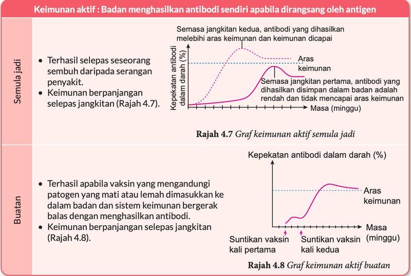 Graf kepekatan antibodi dalam darah melawan masa bagi keimunan aktif semula jadi dan keimunan aktif buatan