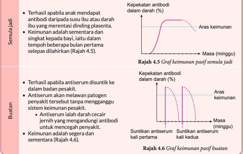 Graf kepekatan antibodi dalam darah melawan masa bagi keimunan pasif semula jadi dan keimunan pasif buatan