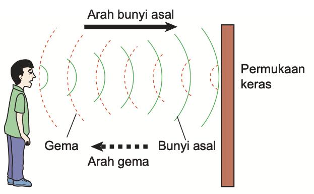 Seorang budak lelaki berhadapan permukaan keras dengan anak panah arah bunyi asal dan arah gema