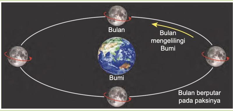 Bulan mengelilingi Bumi dalam satu orbit dan berputar pada paksinya