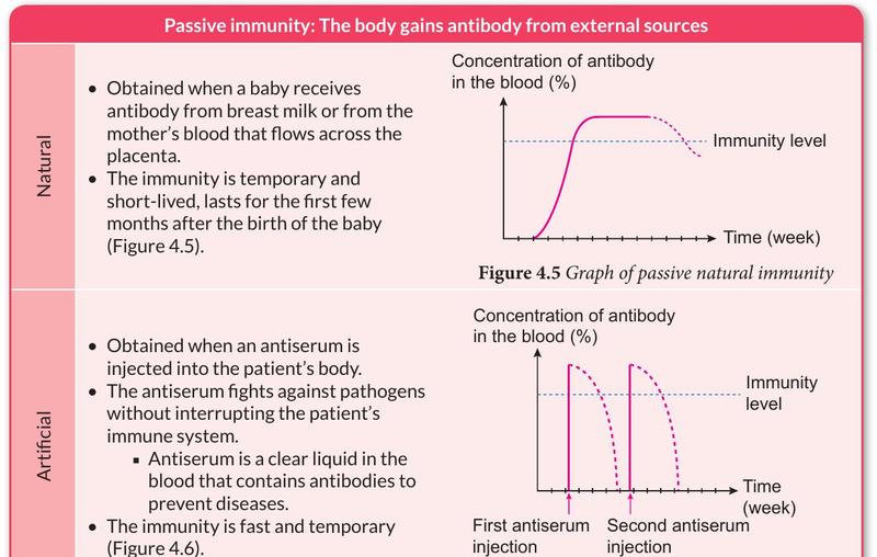 Graphs of antibody concentration over time for passive natural immunity and passive artificial immunity