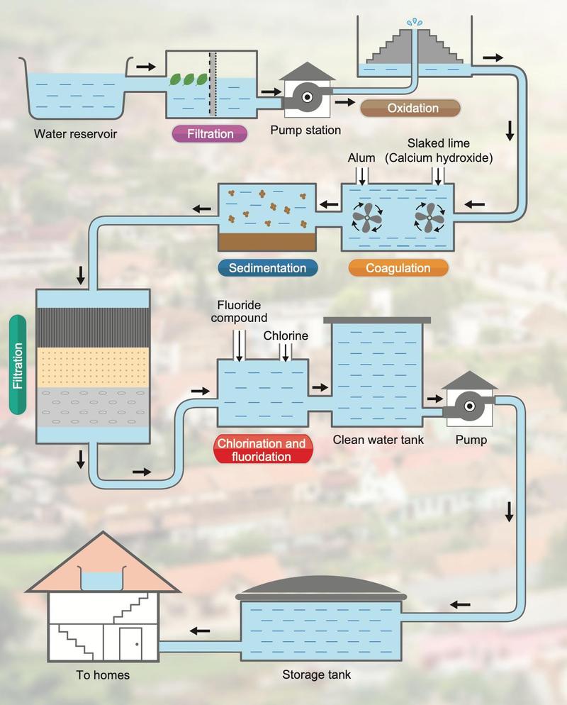 Flow diagram of a water treatment plant from reservoir through filtration, oxidation, coagulation, sedimentation, filtration and chlorination and fluoridation to homes