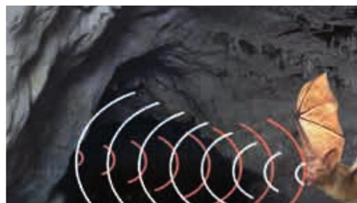 A bat in a cave sending out sound waves