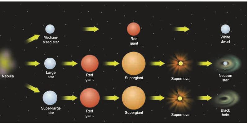 Life cycle of a star: a nebula forms a medium-sized star, then red giant, then white dwarf; a large star goes through red giant, supergiant and supernova to a neutron star; a super-large star goes through red giant, supergiant and supernova to a black hole