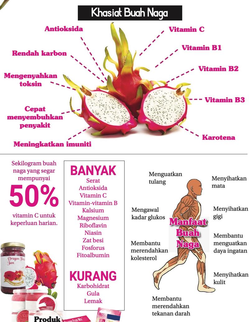 Grafik khasiat buah naga: unsur seperti antioksida, vitamin C dan B, karotena; kandungan banyak dan kurang; manfaat kepada tubuh seperti menguatkan tulang dan menyihatkan mata